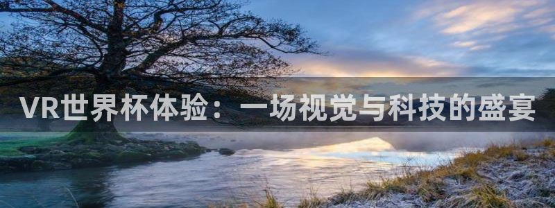 世界杯预选赛亚洲区积分榜：VR世界杯体验：一场视觉与科技的盛宴