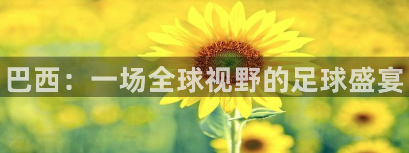 法国杯2026赛程表：巴西：一场全球视野的足球盛宴