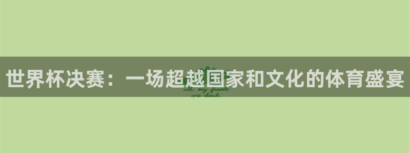 2026年世界杯对阵图：世界杯决赛：一场超越国家和文化的体育盛宴