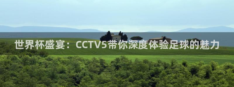 世界杯预选赛规则：世界杯盛宴：CCTV5带你深度体验足球的魅力