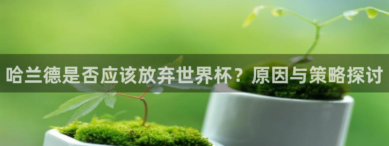 世界杯 中国：哈兰德是否应该放弃世界杯？原因与策略探讨