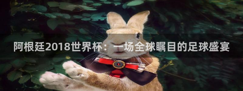 世界杯球赛：阿根廷2018世界杯：一场全球瞩目的足球盛宴