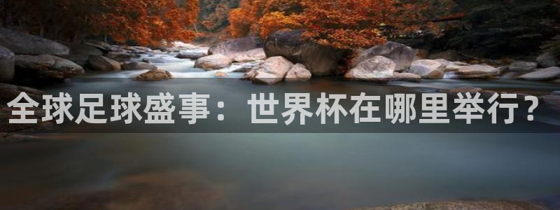 世预赛免费直播入口:全球足球盛事:世界杯在哪里举行?