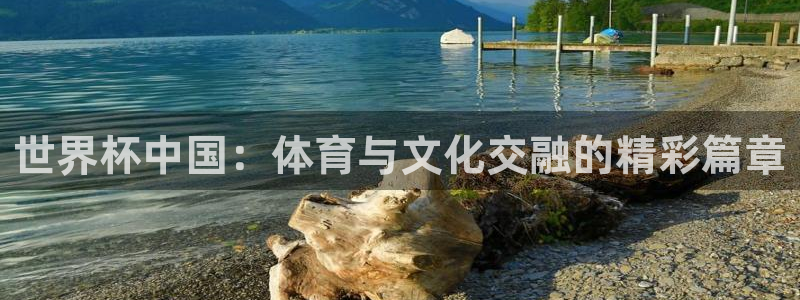 世界杯预选赛亚洲:世界杯中国:体育与文化交融的精彩篇章