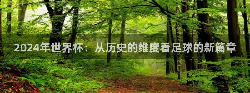 2026世界杯32强对阵图表：2024年世界杯：从历史的维度看足球的新篇章