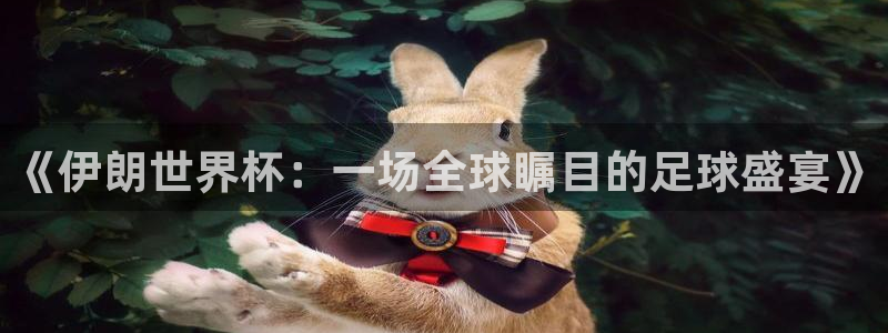 世界杯直播时间：《伊朗世界杯：一场全球瞩目的足球盛宴》