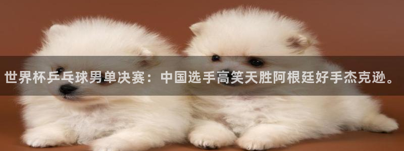 世界杯赛程时间表：世界杯乒乓球男单决赛：中国选手高笑天胜阿根廷好手杰克逊。
