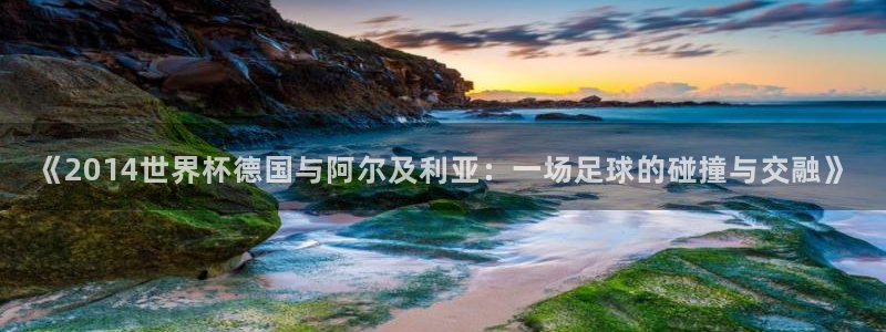 2006世界杯：《2014世界杯德国与阿尔及利亚：一场足球的碰撞与交融》