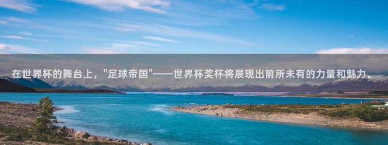 世界杯预选赛排名：在世界杯的舞台上，\