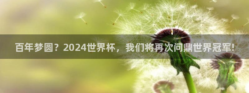 世界杯 2026：百年梦圆？2024世界杯，我们将再次问鼎世界冠军!
