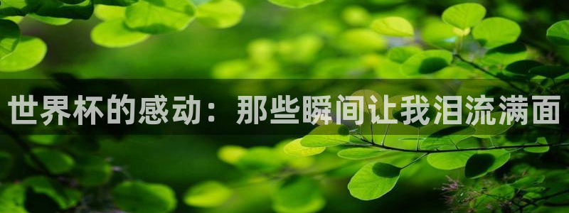 世界杯官网入口：世界杯的感动：那些瞬间让我泪流满面